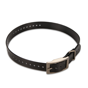 Hundehalsband Schwarz (2,5 cm)